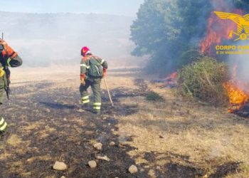 Incendio nelle vicinanze del porto Canale di Cagliari, sul posto il Corpo forestale