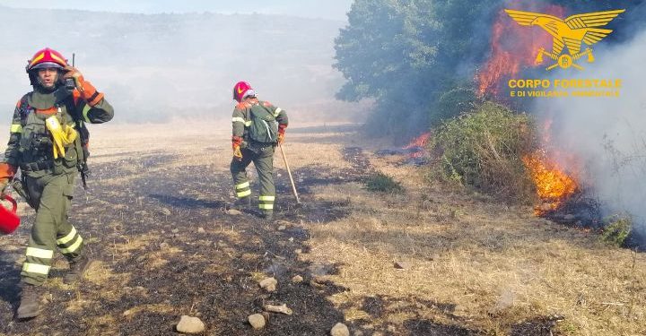 Incendio nelle vicinanze del porto Canale di Cagliari, sul posto il Corpo forestale