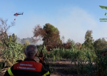 Incendio nelle campagne di Villaspeciosa, sul posto il Corpo forestale
