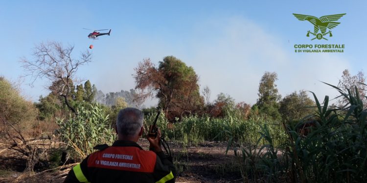 Fiamme nelle campagne di Porto Torres, sul posto uomini e mezzi del Corpo forestale