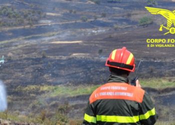 Fiamme nelle campagne di Sagama, sul posto il Corpo forestale