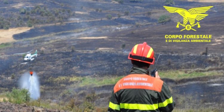 Fiamme nelle campagne di Sagama, sul posto il Corpo forestale