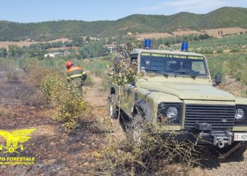 Fiamme nelle campagne di Ballao, sul posto il Corpo forestale