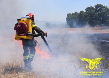 Incendio nelle campagne di Narbolia, sul posto il Corpo forestale