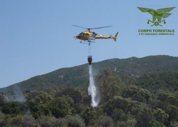 Incendio nelle campagne di Arzana, sul posto uomini e mezzi del Corpo forestale