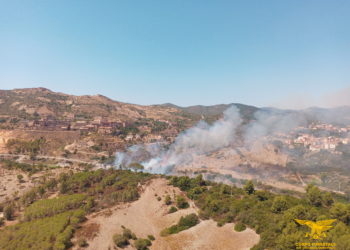 Oggi, su un totale di 18 incendi sviluppatisi in Sardegna, 5 hanno richiesto l’intervento del mezzo aereo del Corpo forestale