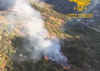 Sono ancora in corso le operazioni di spegnimento dell’incendio nelle campagne di Orune, in località “P.ta S. Andrea”