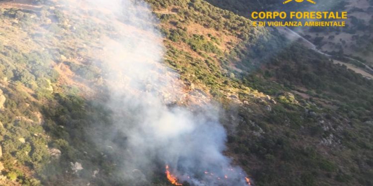 Sono ancora in corso le operazioni di spegnimento dell’incendio nelle campagne di Orune, in località “P.ta S. Andrea”