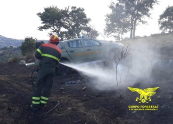 Oggi, su un totale di 17 incendi sviluppatisi in Sardegna, 4 hanno richiesto l’intervento del mezzo aereo del Corpo forestale