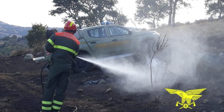 Oggi, su un totale di 17 incendi sviluppatisi in Sardegna, 4 hanno richiesto l’intervento del mezzo aereo del Corpo forestale