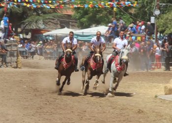 Fede, coraggio e polvere”: il docu-film di Salvatore Taras sull’Ardia di San Costantino a Pozzomaggiore