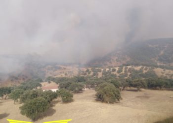 Incendio nelle campagne di Burcei, sul posto uomini e mezzi del Corpo forestale