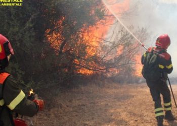 Fiamme nelle campagne di Teti, sul posto uomini e mezzi del Corpo forestale