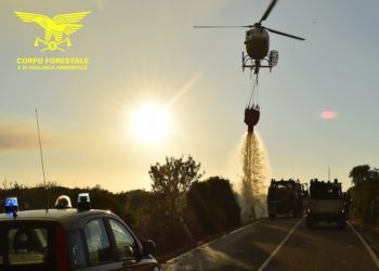 Fiamme nelle campagne di Villamassargia e Sagama, sul posto uomini e mezzi del Corpo forestale