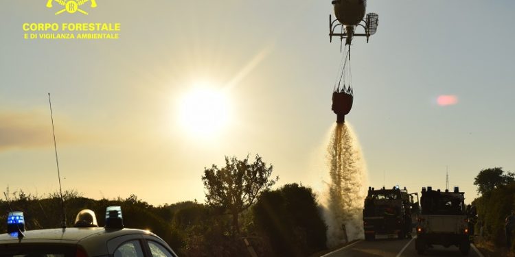 Incendio a Loiri Porto San Paolo, in località Zapalli Mannu, in azione uomini e mezzi del Corpo forestale