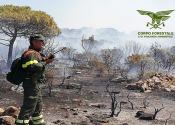 Fiamme nelle campagne di Dolianova, sul posto il Corpo forestale