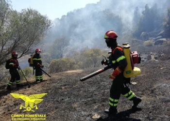 Fiamme nelle campagne di Masullas, sul posto il Corpo forestale