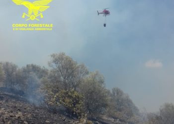 Fiamme nelle campagne di Bonorva, sul posto il Corpo forestale 