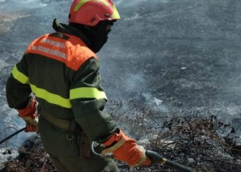 Incendi a Furtei, Loculi e Nurri: in azione uomini e mezzi del Corpo forestale