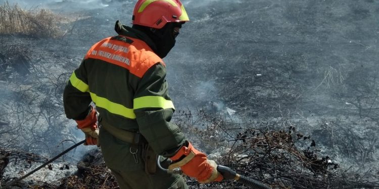 Altra giornata drammatica sul fronte incendi in Sardegna, su 24 segnalati, 10 hanno richiesto l’intervento del mezzo aereo del Corpo forestale