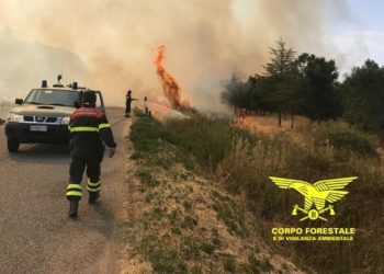 Incendio nelle campagne di Mandas, sul posto uomini e mezzi del Corpo forestale