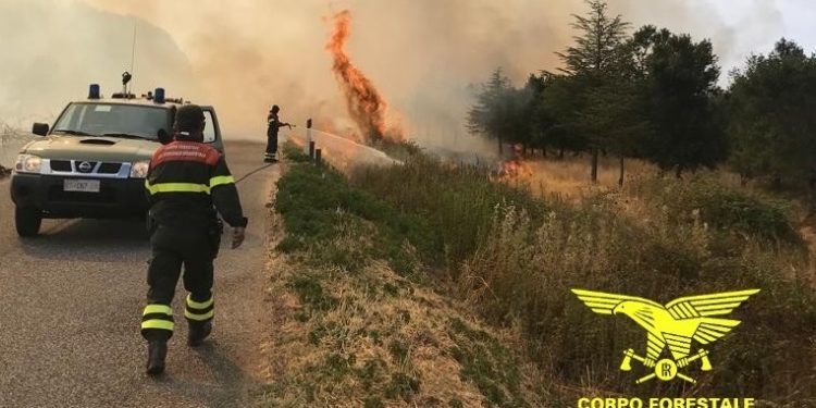 Oggi solo 1 dei 22 incendi sviluppatisi in Sardegna, ha richiesto l’intervento del mezzo aereo del Corpo forestale, a Bonorva