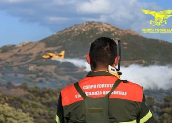 Fiamme nelle campagne di Olbia, sul posto 3 elicotteri del Corpo Forestale e 2 Canadair