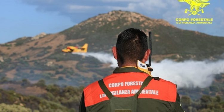 Fiamme nelle campagne di Olbia, sul posto 3 elicotteri del Corpo Forestale e 2 Canadair