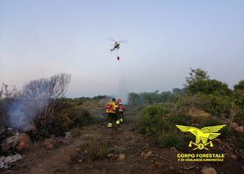 Domato l’incendio a Burgos, 9 i roghi sviluppatisi oggi in Sardegna