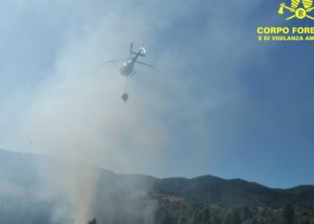 Incendi nelle campagne di Nurri e Carbonia, sul posto il Corpo forestale