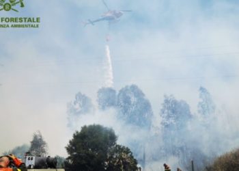Coldiretti Sardegna: «Stato di calamità per gli incendi»