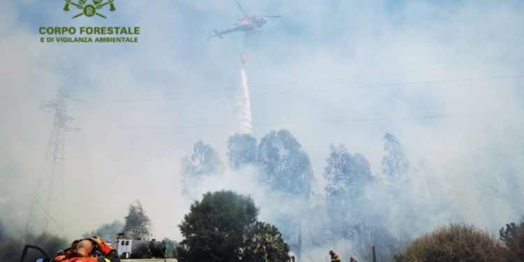 Coldiretti Sardegna: «Stato di calamità per gli incendi»