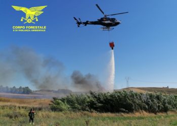 Incendio in località Nuraghe San Pietro, a Torpè: in azione il Corpo forestale
