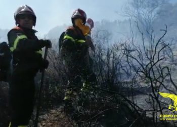 Fiamme nelle campagne di Loiri Porto San Paolo, in azione uomini e mezzi del Corpo forestale