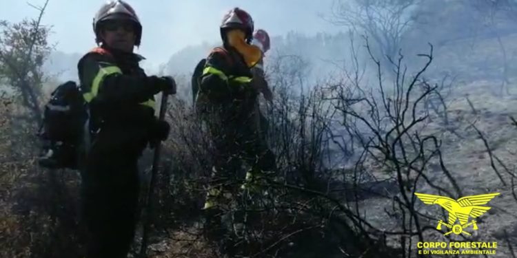 Fiamme nelle campagne di Loiri Porto San Paolo, in azione uomini e mezzi del Corpo forestale