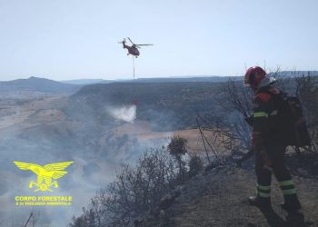 Su un totale di 10 incendi sviluppatisi oggi sul territorio regionale, 2 hanno richiesto l’intervento del mezzo aereo del Corpo forestale