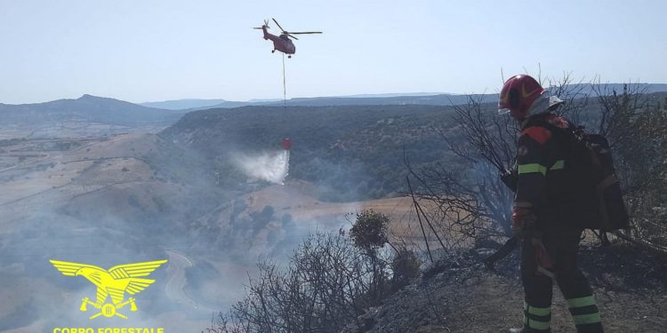 Su un totale di 10 incendi sviluppatisi oggi sul territorio regionale, 2 hanno richiesto l’intervento del mezzo aereo del Corpo forestale