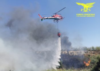 Fiamme nelle campagne di Paulilatino, sul posto il Corpo forestale