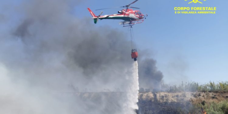Fiamme nelle campagne di Paulilatino, sul posto il Corpo forestale