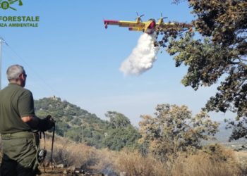 Fiamme nelle campagne di Ruinas, sul posto uomini e mezzi del Corpo forestale