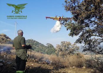 Incendio a Paulilatino, sul posto il Corpo forestale
