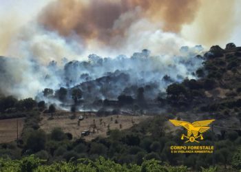 Giornata durissima per gli incendi, su 28 ben 10 hanno richiesto l’intervento dei mezzi aerei