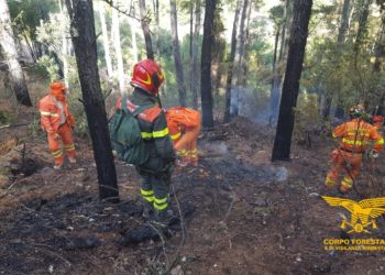 Oggi solo 3 dei 20 incendi sviluppatisi in Sardegna, hanno richiesto l’intervento del mezzo aereo del Corpo forestale
