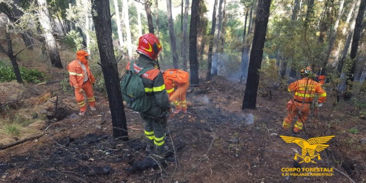 Oggi solo 3 dei 20 incendi sviluppatisi in Sardegna, hanno richiesto l’intervento del mezzo aereo del Corpo forestale
