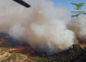 Oggi, su un totale di 31 incendi sviluppatisi in Sardegna, 5 hanno richiesto l’intervento del mezzo aereo del Corpo forestale