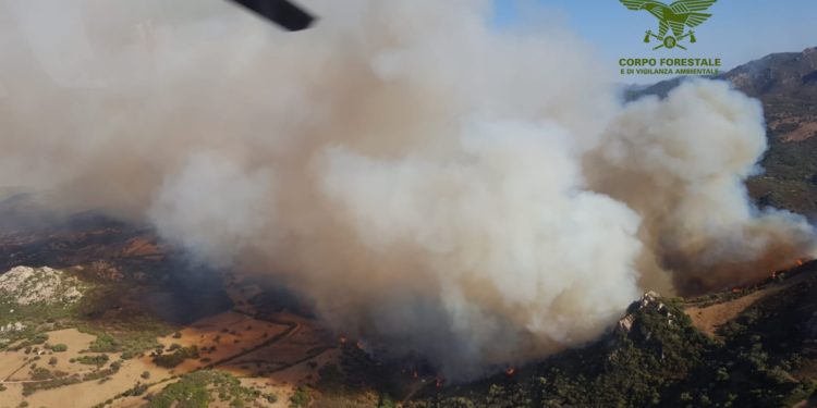 Oggi, su un totale di 31 incendi sviluppatisi in Sardegna, 5 hanno richiesto l’intervento del mezzo aereo del Corpo forestale