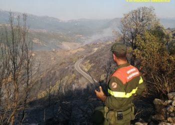 Oggi, su un totale di 14 incendi sviluppatisi in Sardegna, 4 hanno richiesto l’intervento del mezzo aereo del Corpo forestale