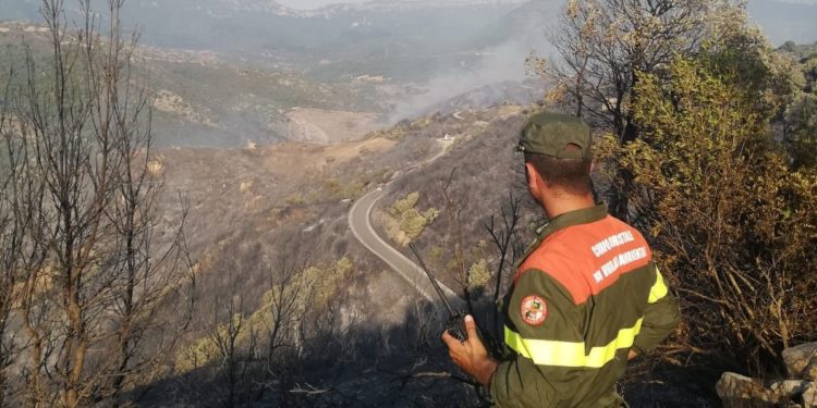 Oggi, su un totale di 14 incendi sviluppatisi in Sardegna, 4 hanno richiesto l’intervento del mezzo aereo del Corpo forestale