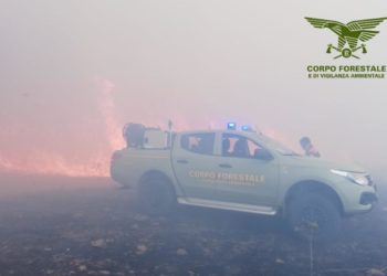 Oggi, su un totale di 20 incendi sviluppatisi in Sardegna, 6 hanno richiesto l’intervento del mezzo aereo del Corpo forestale
