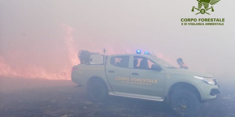 Oggi, su un totale di 20 incendi sviluppatisi in Sardegna, 6 hanno richiesto l’intervento del mezzo aereo del Corpo forestale
